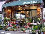 「のざんふぁん　花よし」　（東京都江戸川区）の花屋店舗写真2